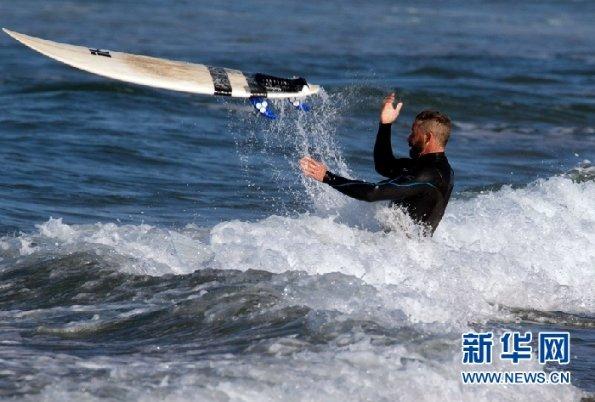 奥日与黑暗森林